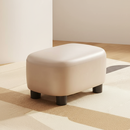 Warming Shoe Changing Stool For Home Use Shoe Wearing Stool At The Entrance Entrance Foyer For Sitting Storage Foot Step Stool