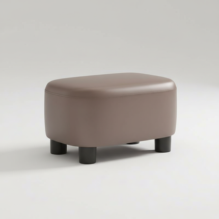 Warming Shoe Changing Stool For Home Use Shoe Wearing Stool At The Entrance Entrance Foyer For Sitting Storage Foot Step Stool