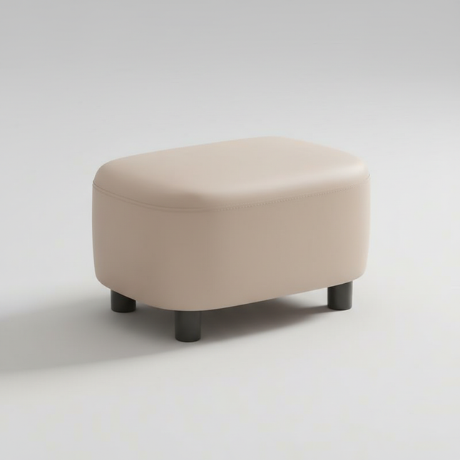 Warming Shoe Changing Stool For Home Use Shoe Wearing Stool At The Entrance Entrance Foyer For Sitting Storage Foot Step Stool