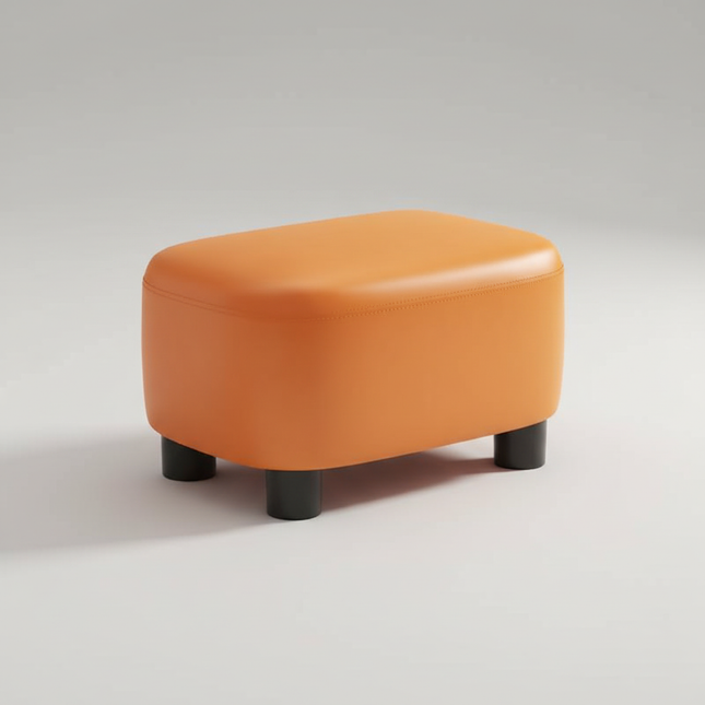 Warming Shoe Changing Stool For Home Use Shoe Wearing Stool At The Entrance Entrance Foyer For Sitting Storage Foot Step Stool